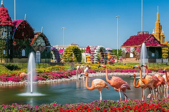 Tour image 7