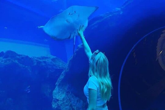 Tour image 4
